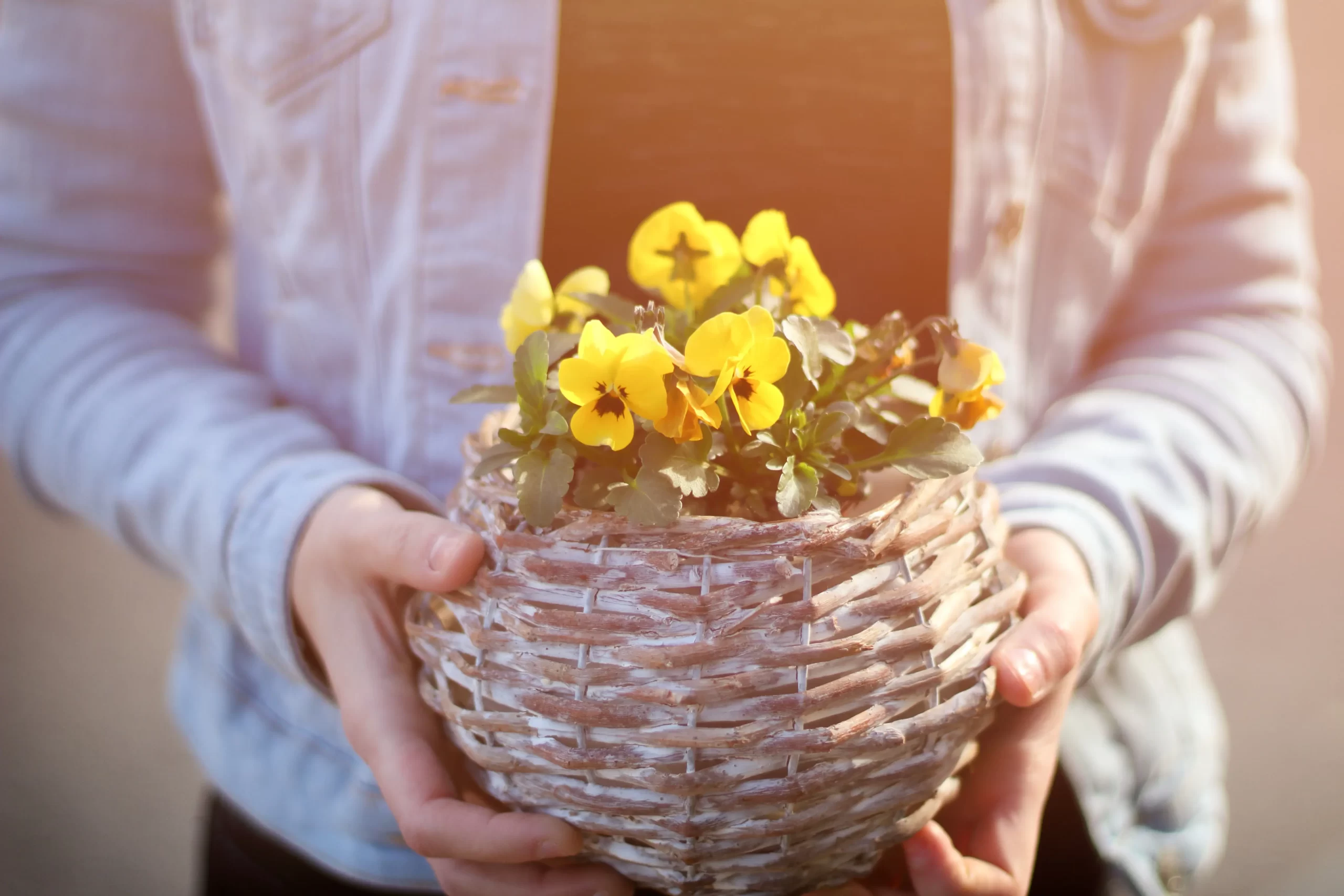 İdeal Çiçek Sepeti: İdeal Çiçek Sepeti ile Unutulmaz Çiçek Siparişleri 